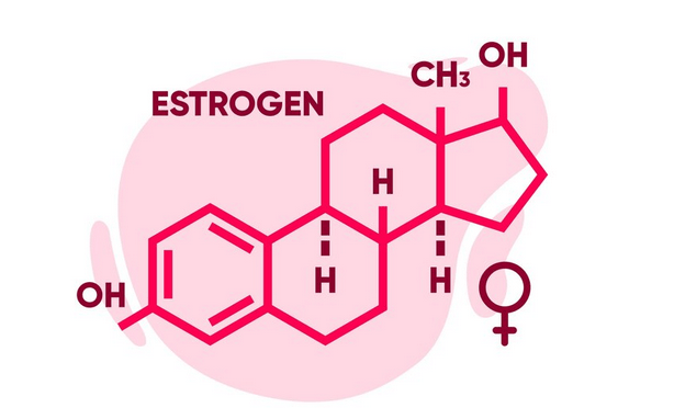 estrogen 